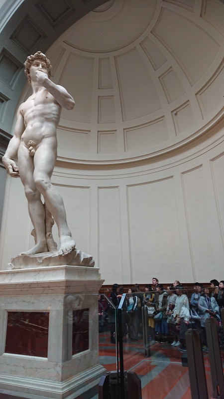 ミケランジェロのダヴィデ像のオリジナル