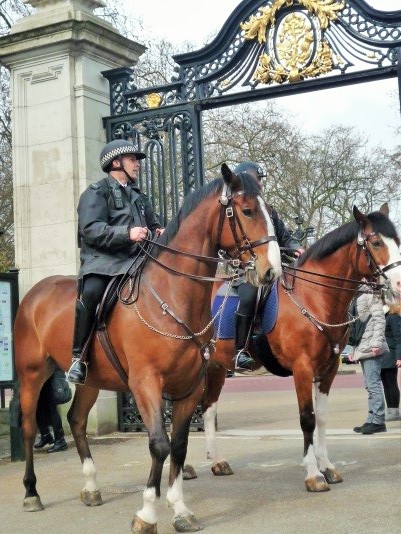 ロンドンの騎馬警察官