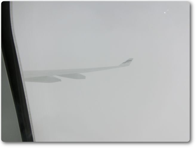 濃厚な霧に霞む翼